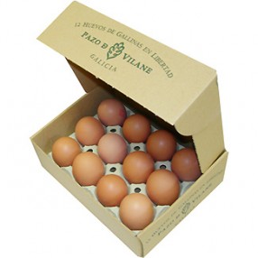 PAZO DE VILANE huevos morenos de gallinas camperas estuche 12 unidades